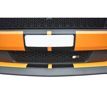 Ford Mustang GT Facelift - Lower Grille